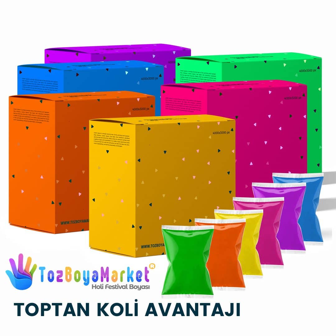 Holi Tozu Toptan 100'lü Paket